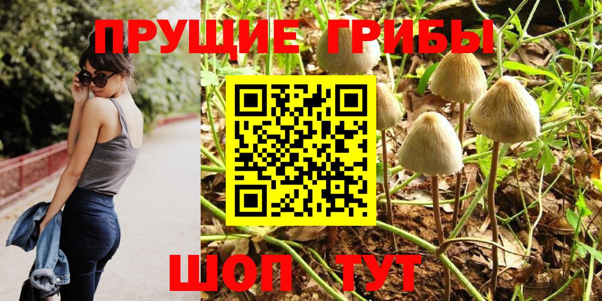 Псилоцибиновые грибы прущие грибы  купить наркоту  Кинешма  Вход с VPN 