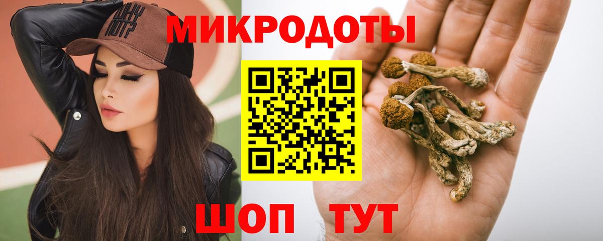 Псилоцибиновые грибы Cubensis Кинешма