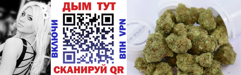Шишки марихуана OG Kush  продажа наркотиков  ссылка на мегу ССЫЛКА  Кинешма 